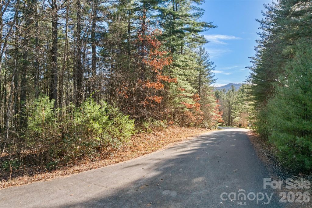 0 Daylily Drive Lot 20, Hendersonville, NC 28739