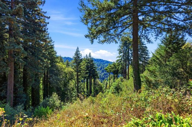 164 Filbert Road, Woodside, CA 94062