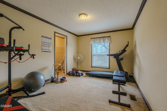 1738 Dumplin Loop Road, New Market, TN 37820