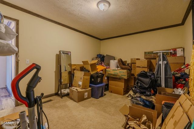 1738 Dumplin Loop Road, New Market, TN 37820