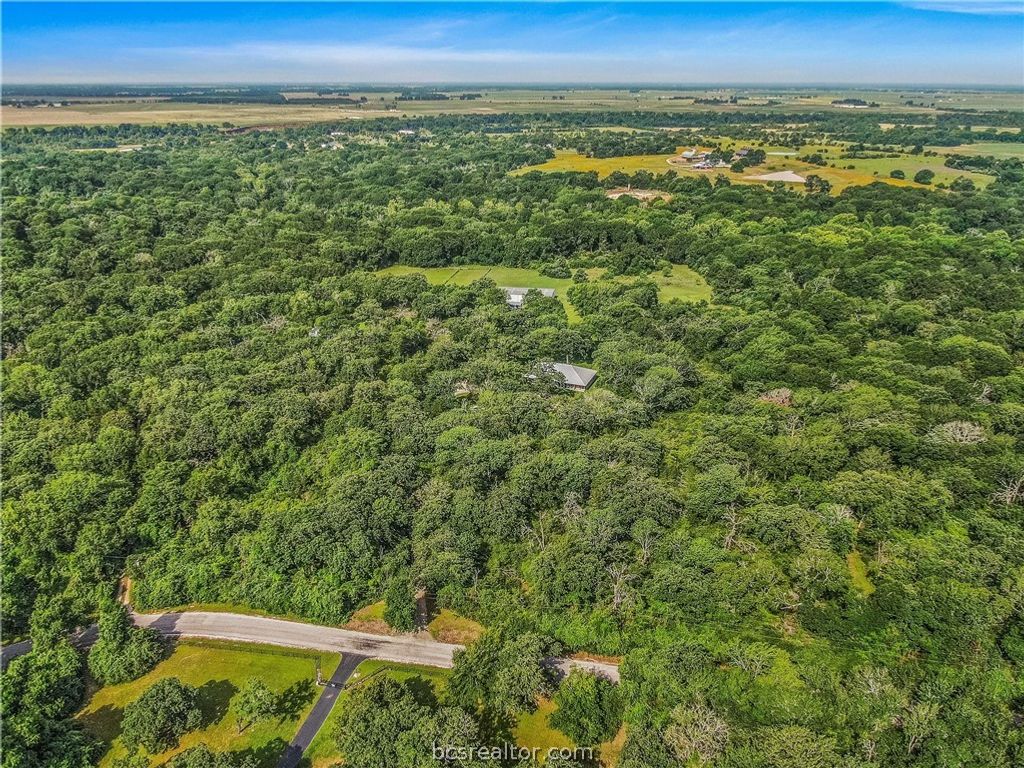 10250 Dogwood Trail, College Station, TX 77845 — exterior