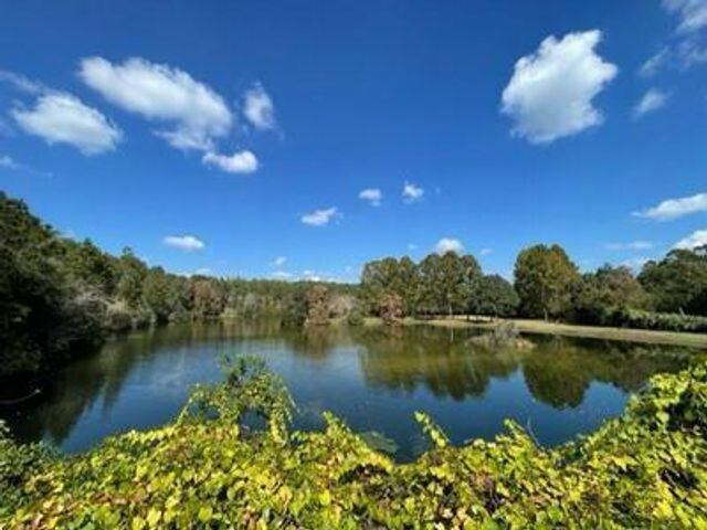 1500 Big Creek Cove, Niceville, FL 32578