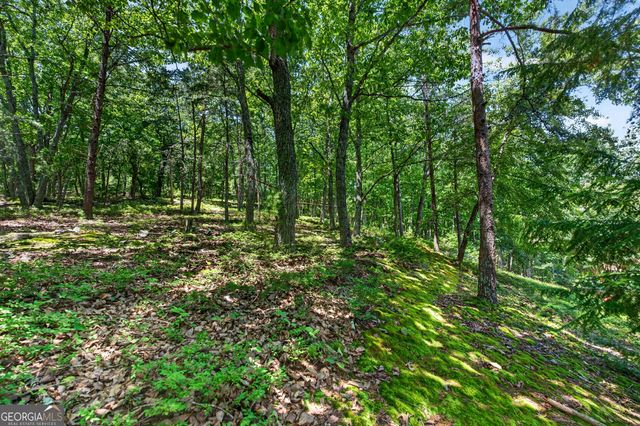 3442 N Slope Court, Marietta, GA 30066