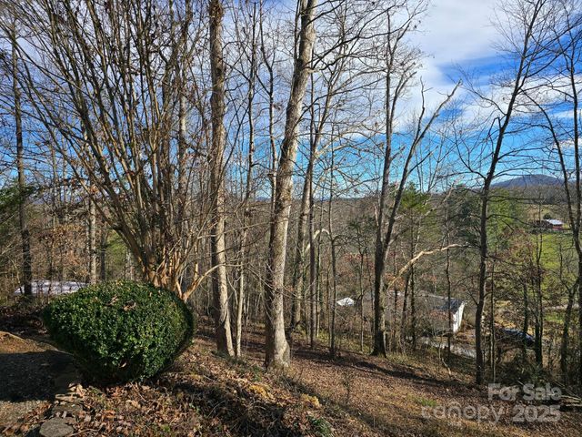 129 Oak Trails Pass, Leicester, NC 28748