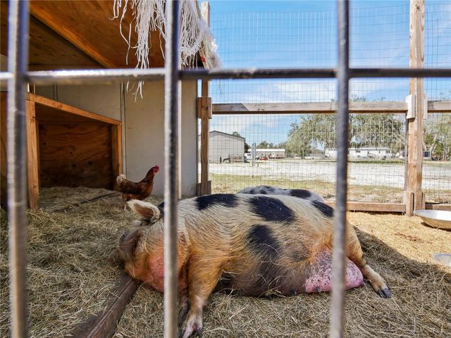 43512 BEAR LAKE BOULEVARD, Deland, FL 32720