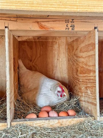 43512 BEAR LAKE BOULEVARD, Deland, FL 32720