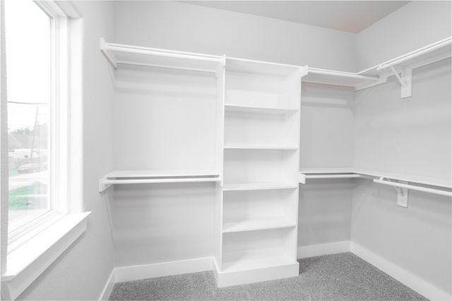 4401 Alvin Street A, Houston, TX 77051