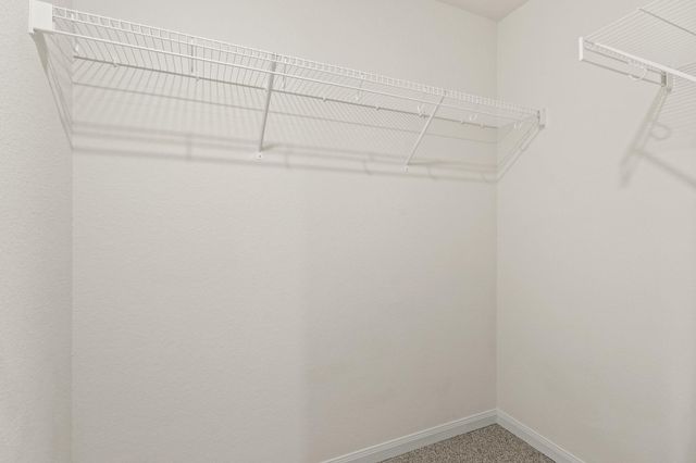 27104 Leonardo Drive, Magnolia, TX 77355