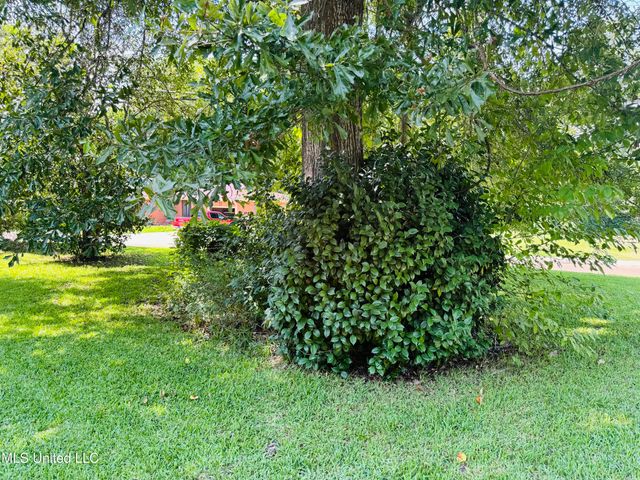 1117 Martin Luther King Jr Street, Natchez, MS 39120