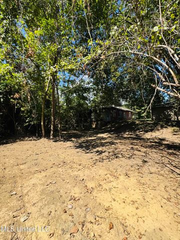 1117 Martin Luther King Jr Street, Natchez, MS 39120