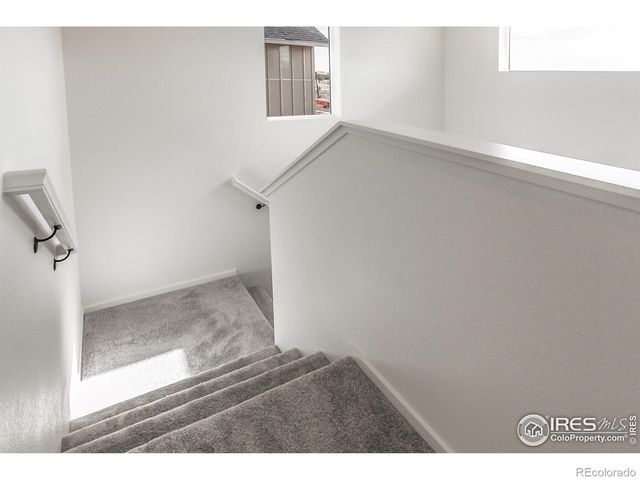 768 Chatter Road, Windsor, CO 80550