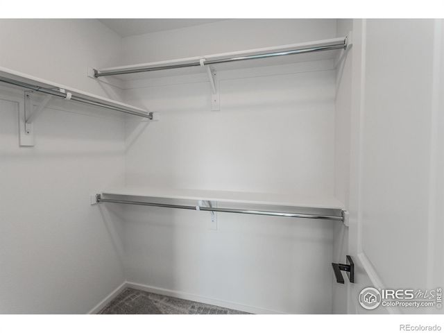 768 Chatter Road, Windsor, CO 80550