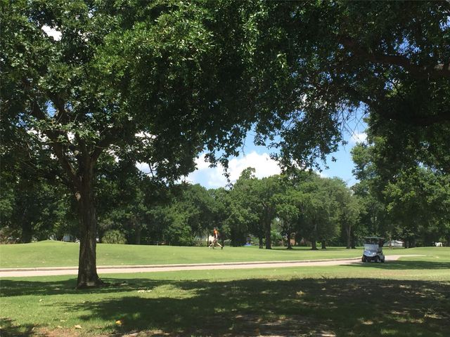 4510 Hazelton Street, Houston, TX 77035