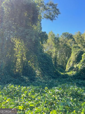 7011 S Sweetwater Road, Lithia Springs, GA 30122