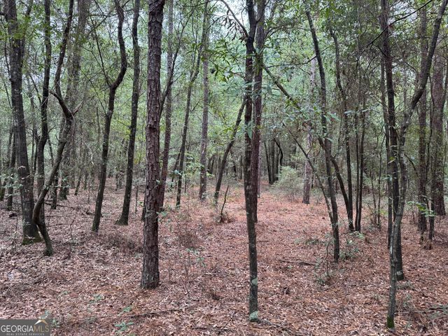 0 Glen Drive, East Dublin, GA 31027