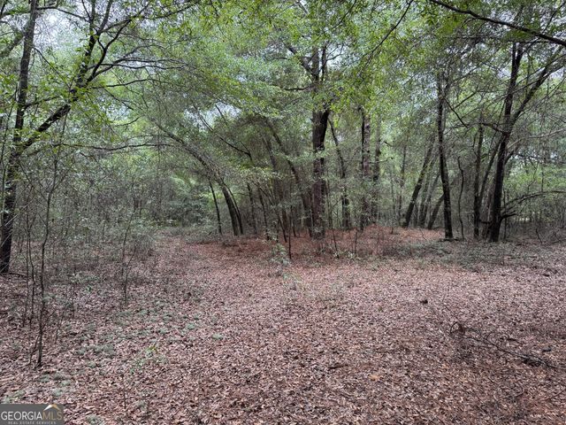 0 Glen Drive, East Dublin, GA 31027