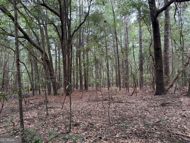 0 Glen Drive, East Dublin, GA 31027