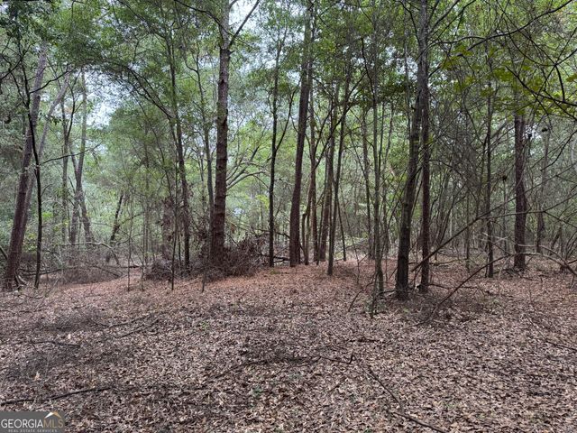 0 Glen Drive, East Dublin, GA 31027