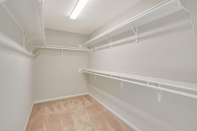 2926 Grand Hawthorne Road, Conroe, TX 77385