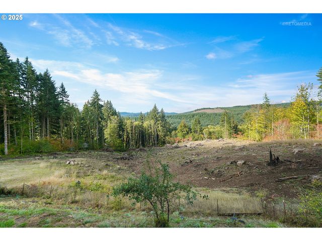 57647 CEDAR SPRINGS Dr, Scappoose, OR 97056