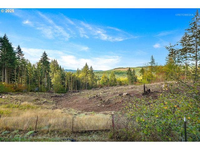 57647 CEDAR SPRINGS Dr, Scappoose, OR 97056