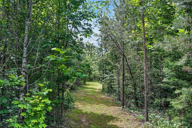 211 Arizona Ln, Walling, TN 38587