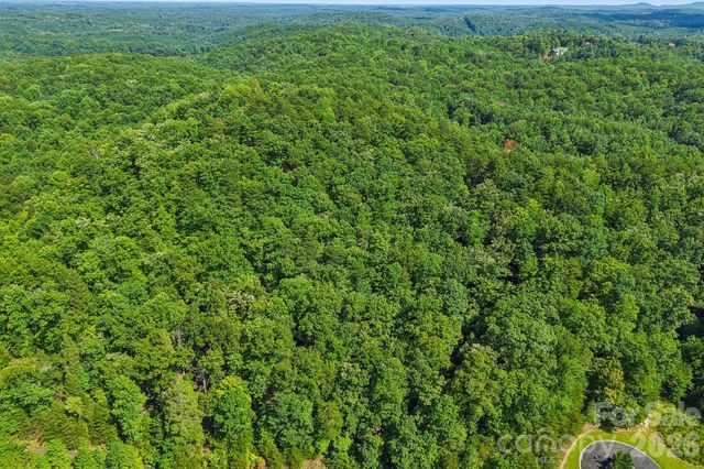35 Mountain Parkway, Mill Spring, NC 28756
