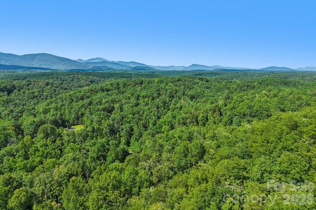 35 Mountain Parkway, Mill Spring, NC 28756