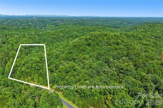 35 Mountain Parkway, Mill Spring, NC 28756