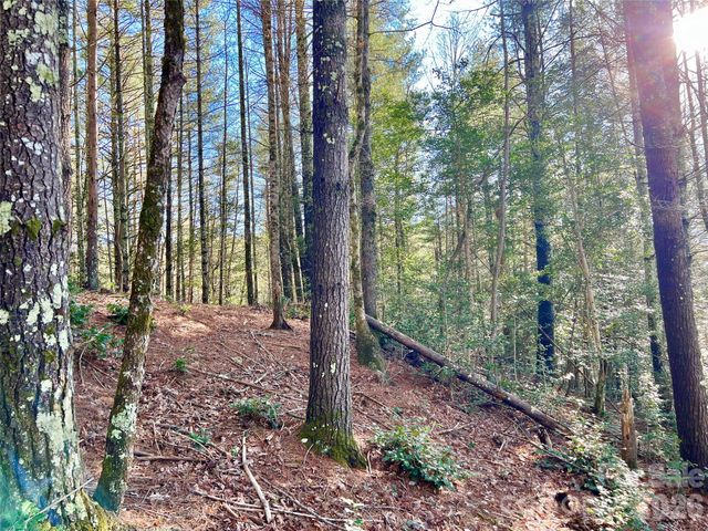 Lot 126 & Lot 127A Sunset Creek Lane 126 & 127A, Lenoir, NC 28645