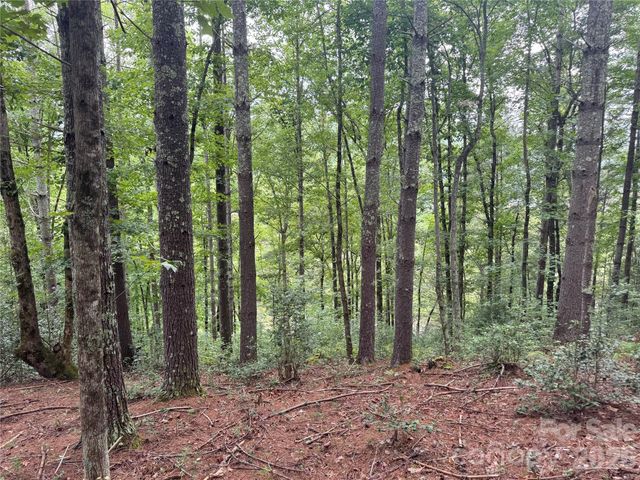 Lot 126 & Lot 127A Sunset Creek Lane 126 & 127A, Lenoir, NC 28645