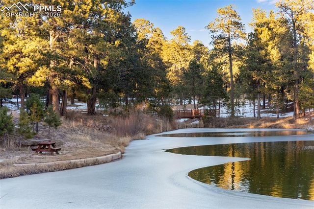 16075 Winding Trail Road, Colorado Springs, CO 80908