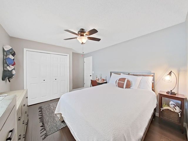 308 HAMMOCK DRIVE, Palm Harbor, FL 34683