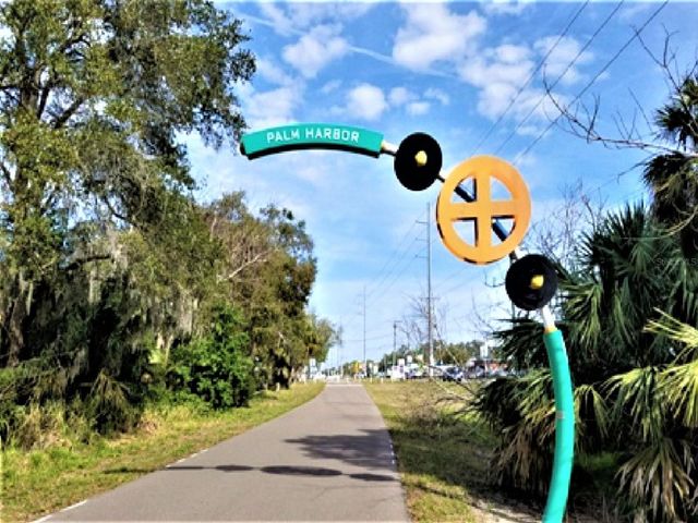 308 HAMMOCK DRIVE, Palm Harbor, FL 34683