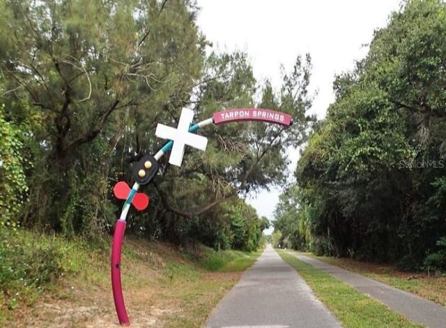 308 HAMMOCK DRIVE, Palm Harbor, FL 34683