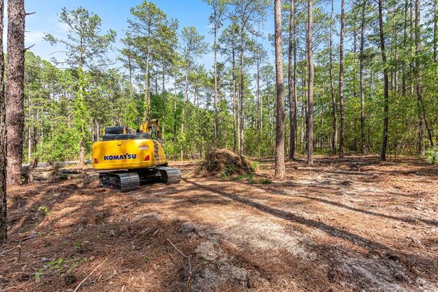 26700 Peach Orchard Road, Wagram, NC 28396
