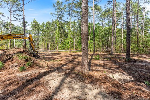 26700 Peach Orchard Road, Wagram, NC 28396