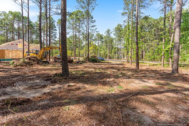 26700 Peach Orchard Road, Wagram, NC 28396