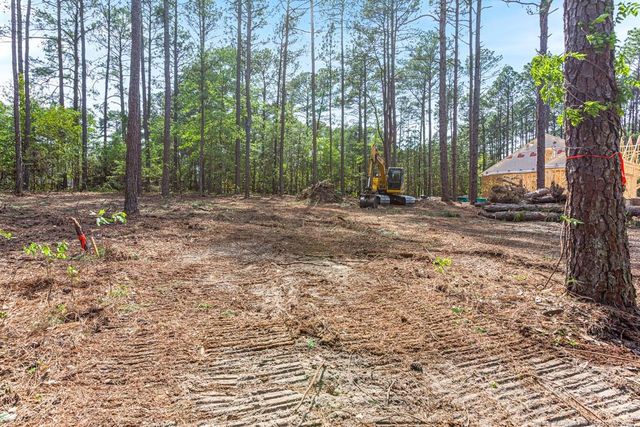 26700 Peach Orchard Road, Wagram, NC 28396