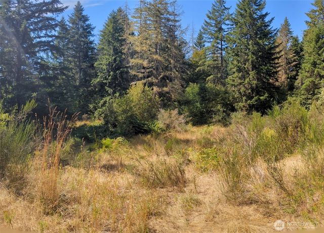 33118 68th Avenue S, Roy, WA 98580