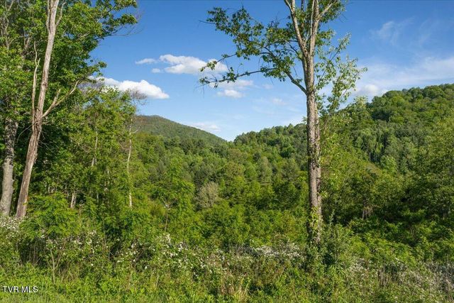 Tbd Golden Eagle 36, Mountain City, TN 37683