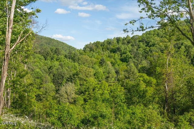 Tbd Golden Eagle 36, Mountain City, TN 37683