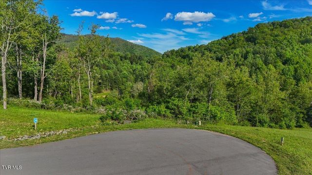 Tbd Golden Eagle 36, Mountain City, TN 37683