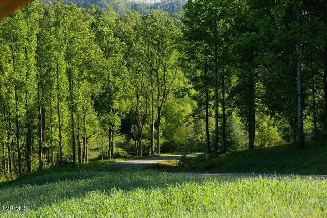 Tbd Golden Eagle 36, Mountain City, TN 37683