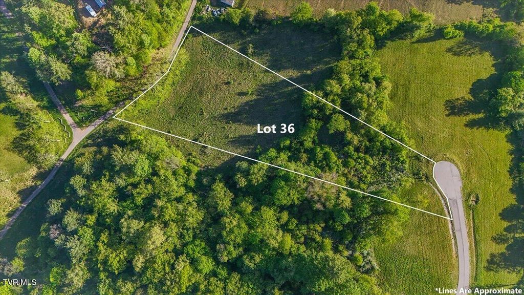 Tbd Golden Eagle 36, Mountain City, TN 37683