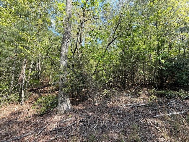 00 Highway 19 N, Dahlonega, GA 30533