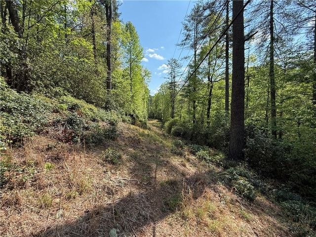 00 Highway 19 N, Dahlonega, GA 30533