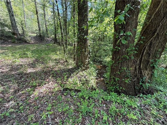 00 Highway 19 N, Dahlonega, GA 30533