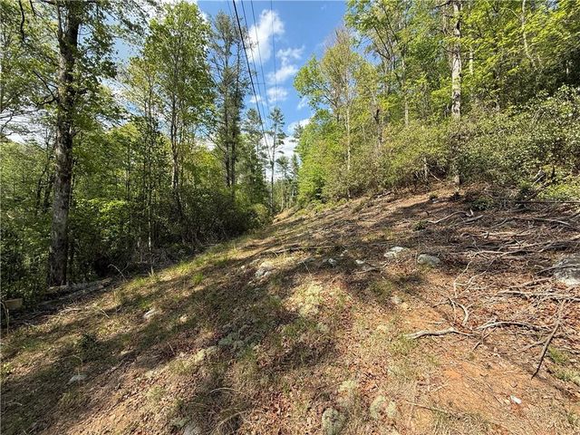 00 Highway 19 N, Dahlonega, GA 30533