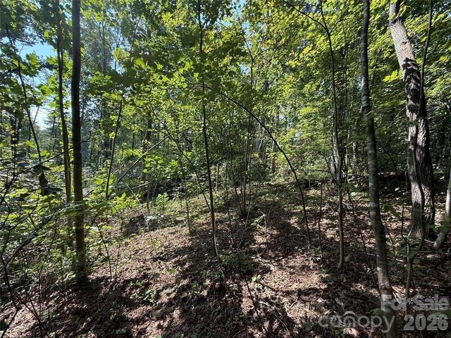 256 Burge Mountain Road, Hendersonville, NC 28792